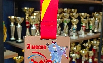 Медаль карате