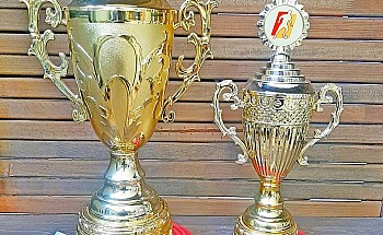 Кубок футбол (2)